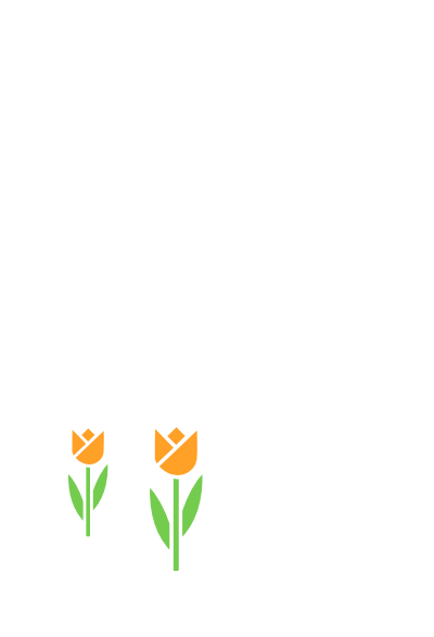 Made in Holland